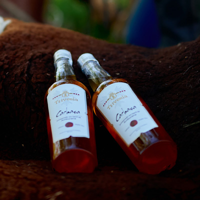 1837_CabernetMerlot_43x2