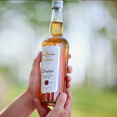 ASoqsTZh-FineWines_Steingarten_Riesling_43x2 ASoqsTZh-FineWines_Steingarten_Riesling_43x2