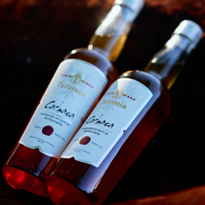 kaO0w6Nl-FineWines_CentenaryHill_Shiraz_43x2